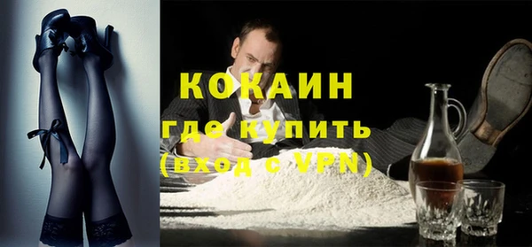 индика Балахна