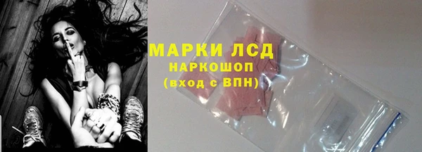 индика Балахна