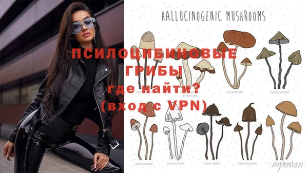 индика Балахна