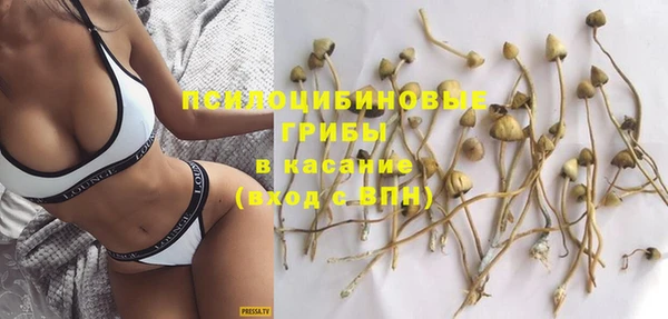 индика Балахна